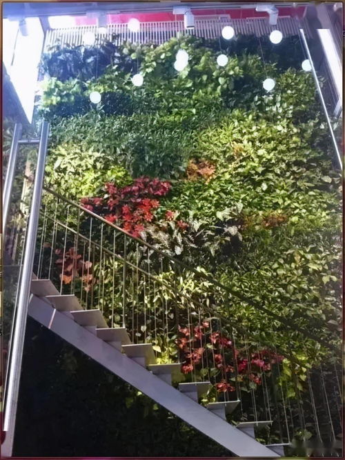 園林工程中的6種垂直綠化形式 提升空間效能與生態(tài)美學(xué)